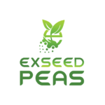 Exseed Peas